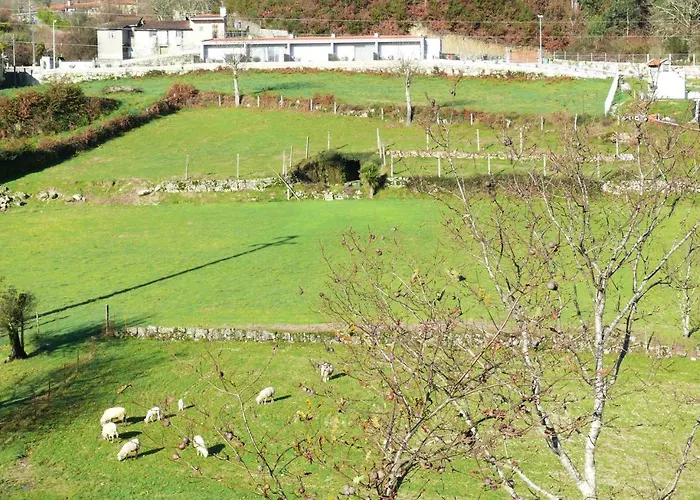 Vakantiehuis Campo Seco Vieira do Minho